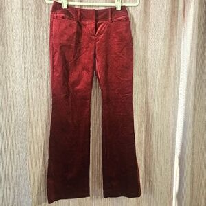 Loft Petites Burgundy Corduroy Pants Size 00